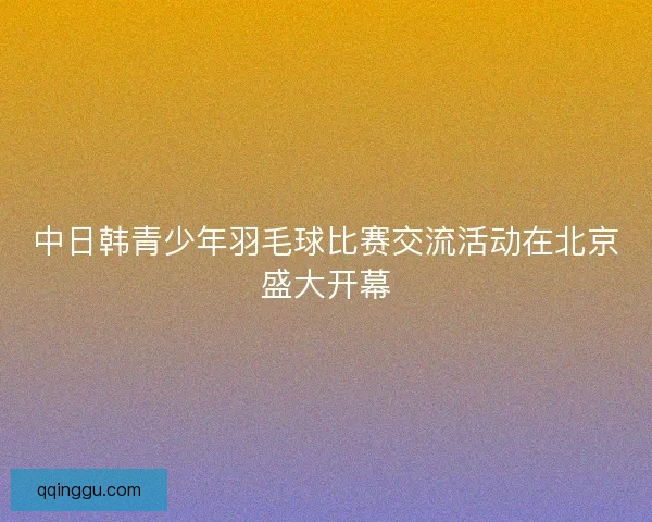 中日韩青少年羽毛球比赛交流活动在北京盛大开幕