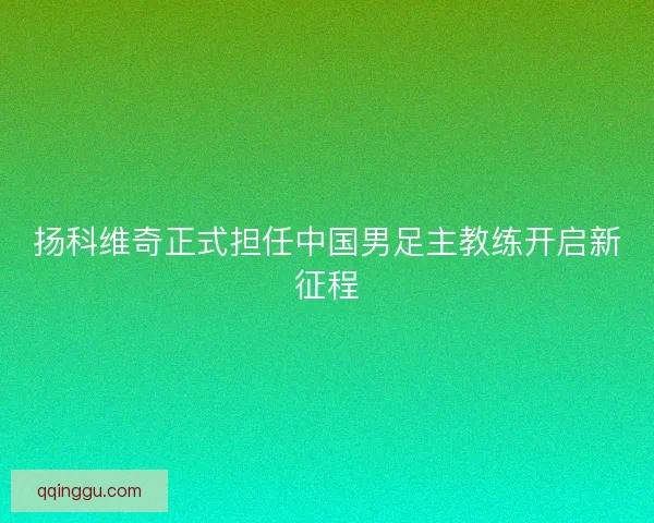 扬科维奇正式担任中国男足主教练开启新征程